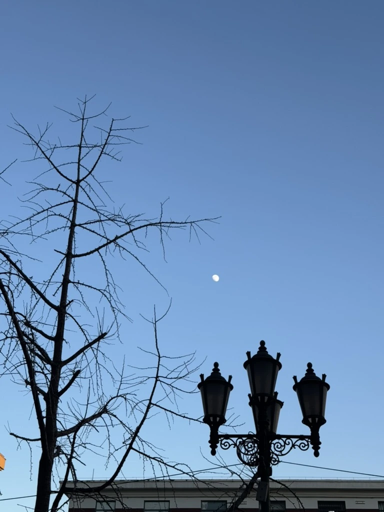 <p>Это Луна, но оптический силы нет, потому что сил таскать телескоп нет)</p>