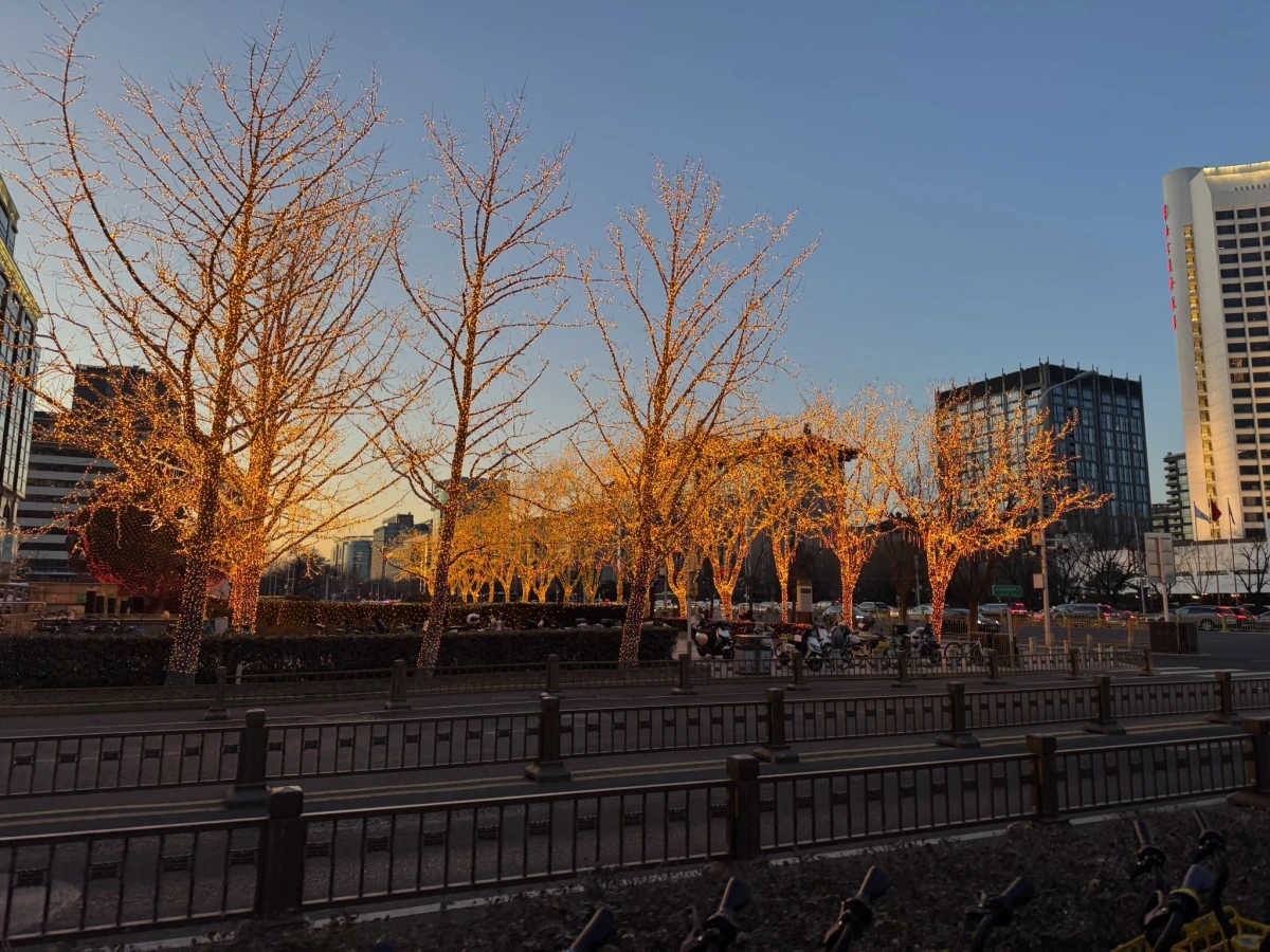 <p>Деревья обмотали спец лентой с лампочками</p>