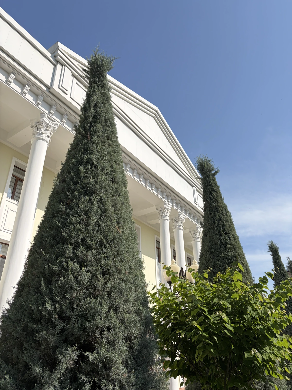 <p>Кипарисы и МГИМО</p>