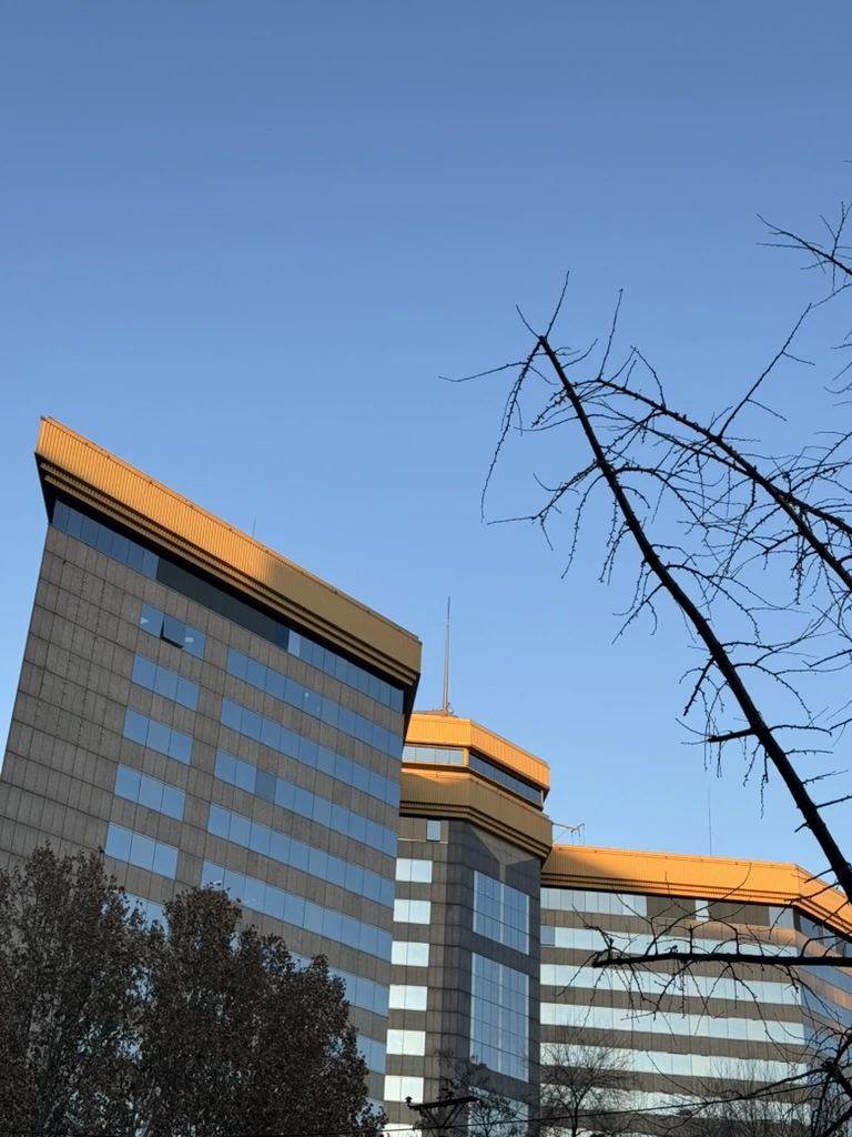 <p>Последние лучи Солнца в тот день</p>