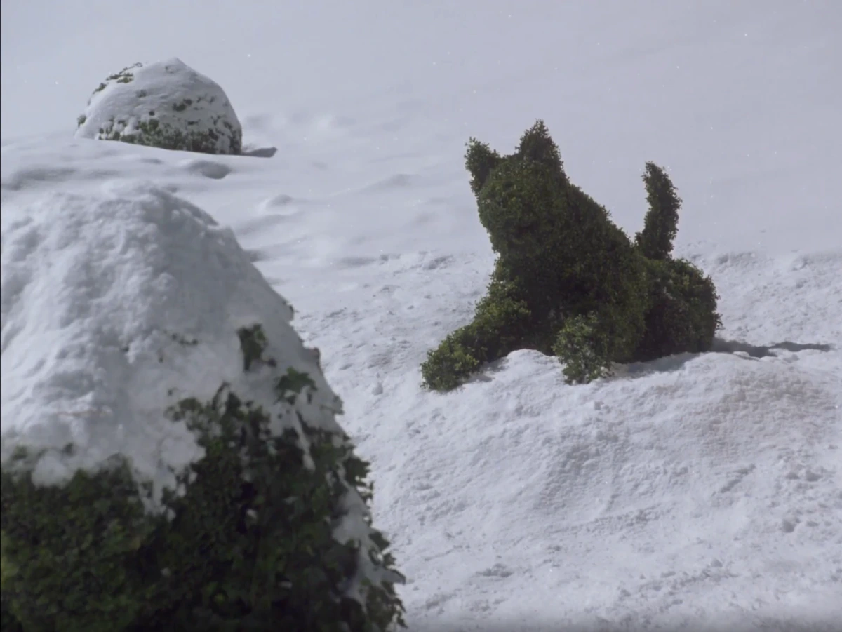 <p>Вдруг подскакивает...</p>