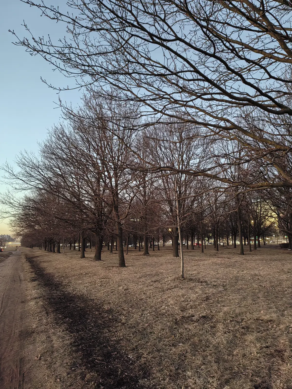 В марте в Санкт-Петербурге ещё холодно и зелени нет совсем. Получается естественная сепия
