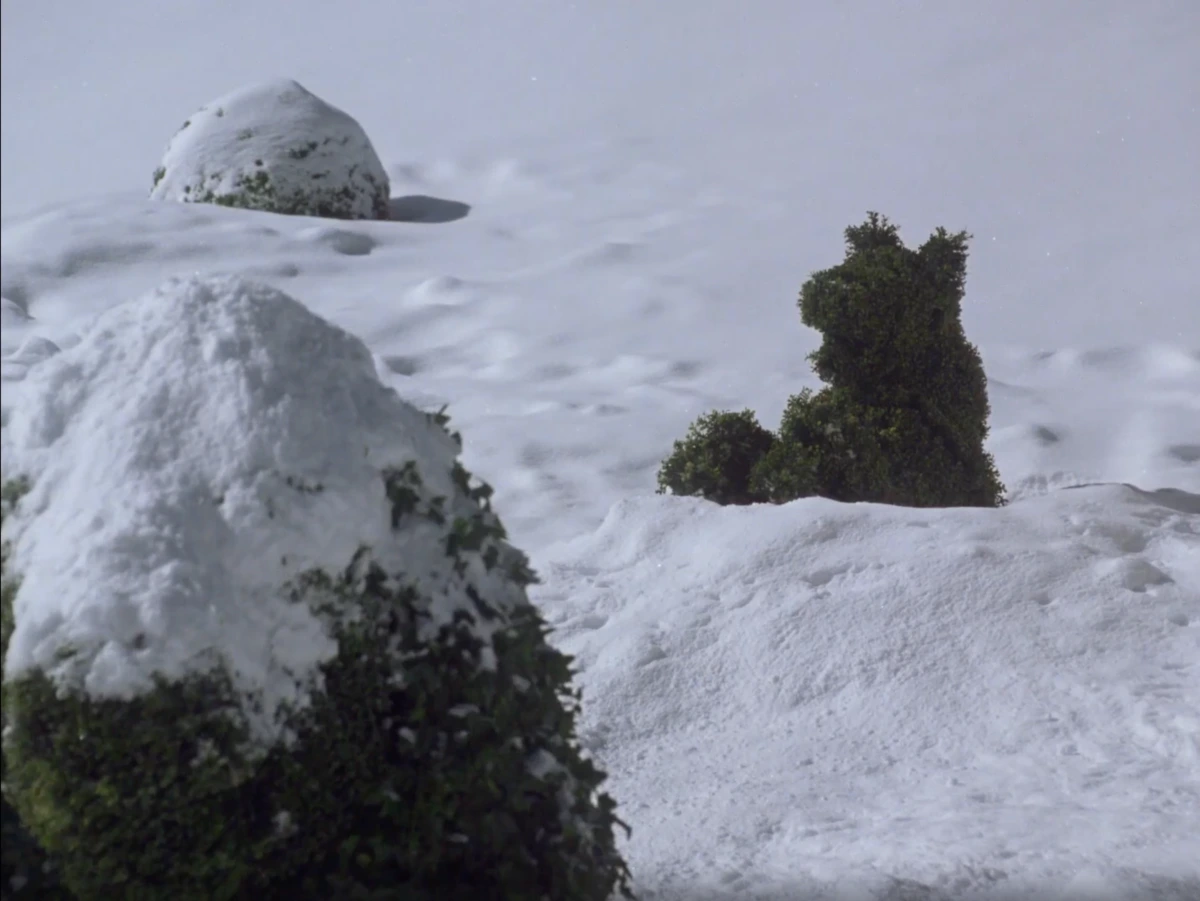 <p>Стоило отвернуться, она уже отряхнулась от снега</p>