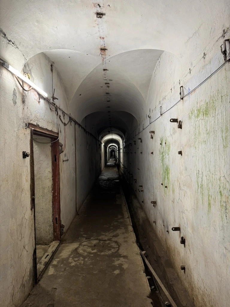 <p>Вперед в туннели</p>