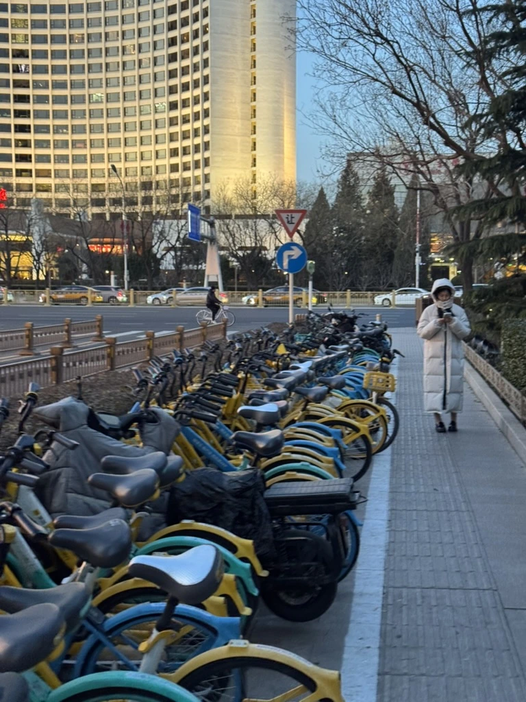 <p>Часто возникало ощущение, что эти велосипеды тут как мусор - их кинули</p>