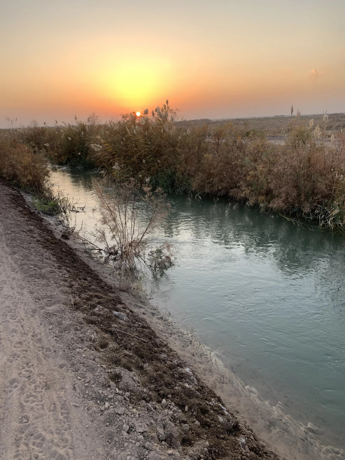 Вода в этот канал поступает из реки Амударья. Именно благодаря разветвленной сети таких каналов безжизненная пустыня Кызылкум превращается в плодородный оазис, где выращивают знаменитые хорезмские дыни, хлопок и рис
