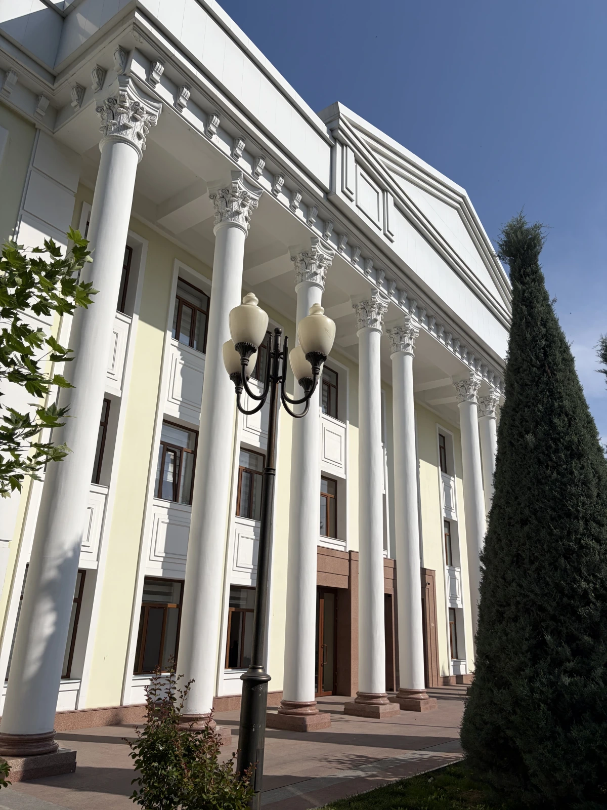 <p>Это филиал МГИМО в Ташкенте</p>