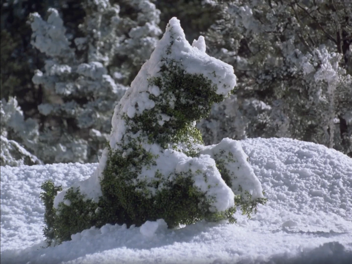 <p>Во дворе есть скульптуры животных. Сначала они все покрыты снегом</p>