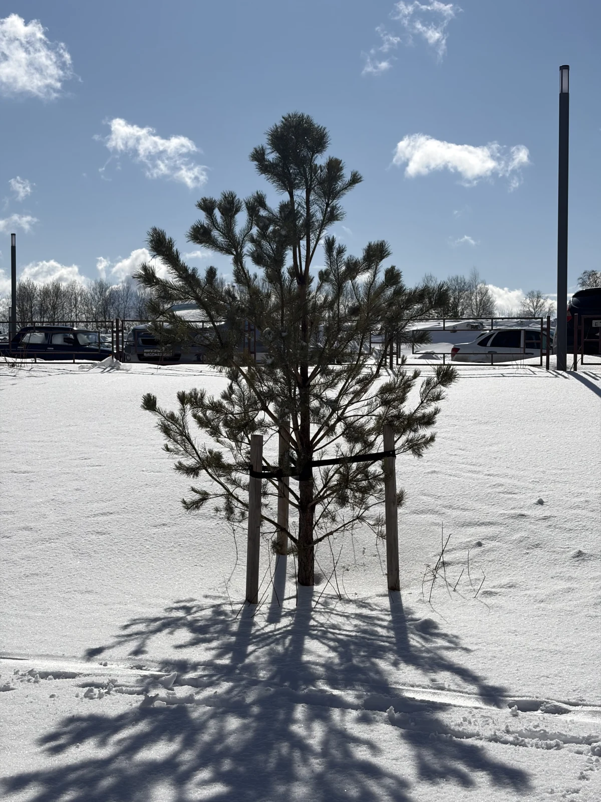 <p>Очень ясный день</p>