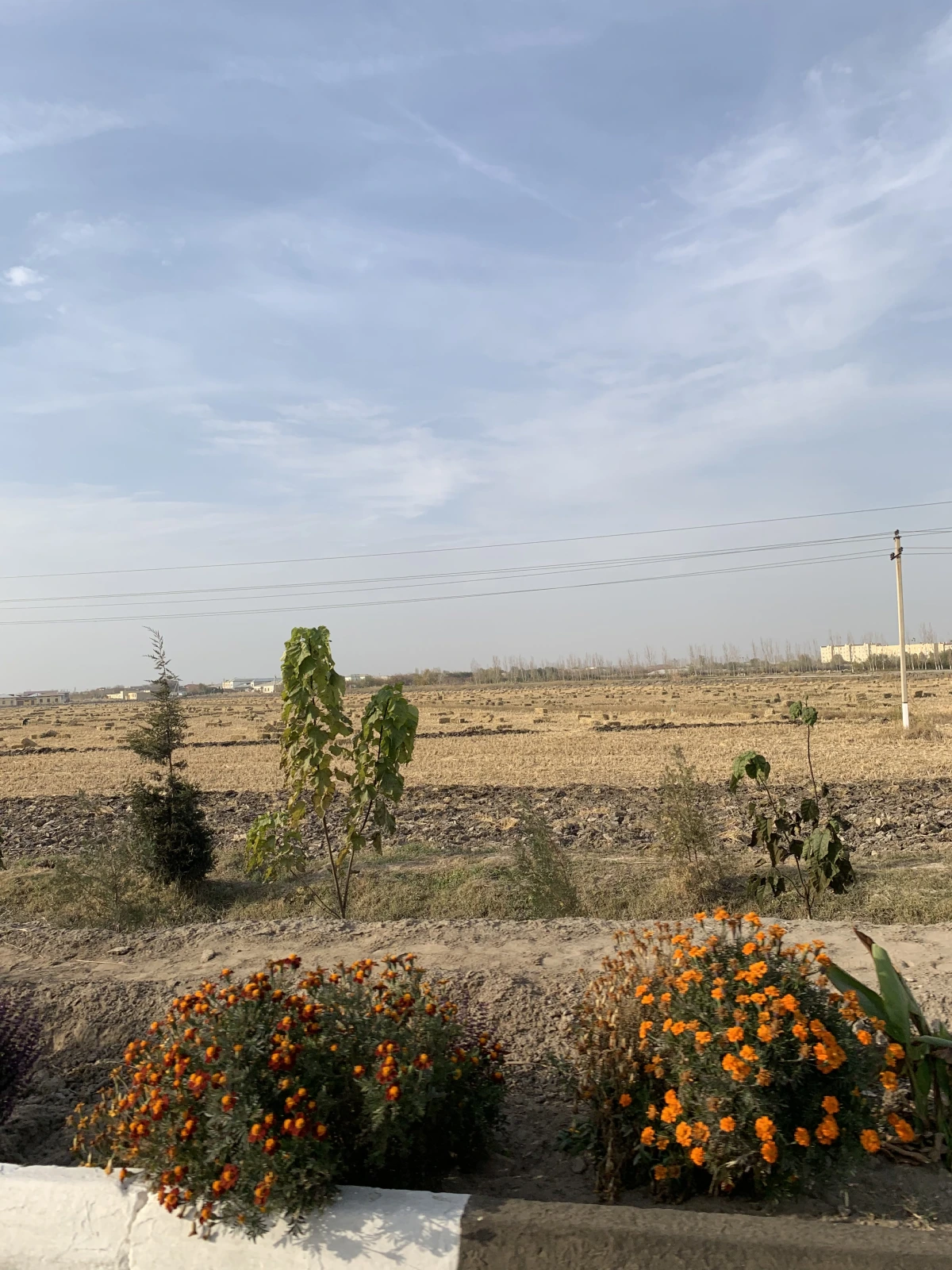 Мы приехали осенью, но тепло