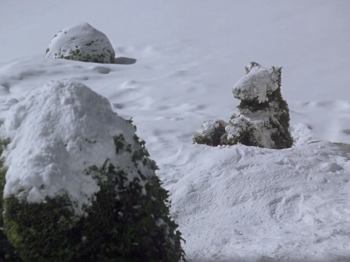 <p>Пока все как надо. Собачка отдыхает</p>