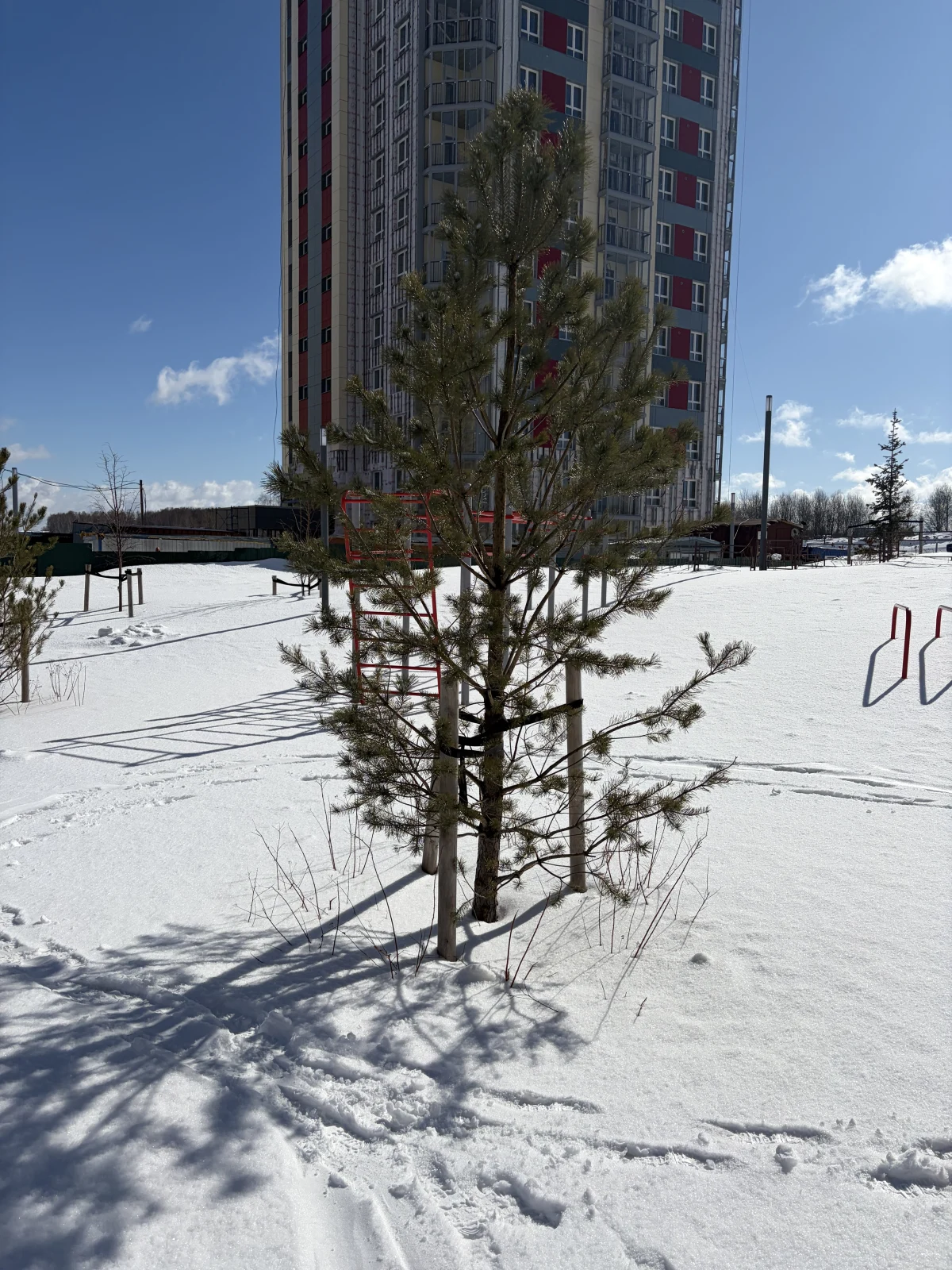 <p>Ранней весной</p>